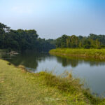 2024-10 - Népal - J11 - Parc National de Chitwan - 084